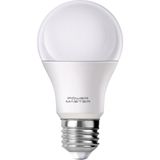Ayt Powermaster PMLED-12V E27 850LMN 10 Watt 12 Volt 6500K Beyaz LED Ampul