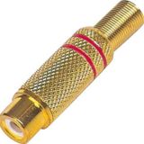Ayt Tos Fiş Dişi Gold Altın Uzatma Brass