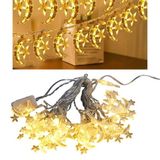 Ayt Winnboss WN-1181 5 Metre 20 Ledli Ay Yıldızlı Günışığı Sabit Led Dekoratif Led Aydınlatma 5 Watt Süsleme Işığı