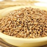 Ayvalık Baharat 1 kg Buğday Tavuk Güvercin Yemi
