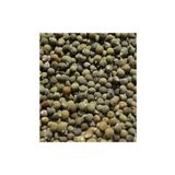 Ayvalık Baharat 100 gr Bamya Tohumu