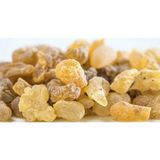 Ayvalık Baharat 100 gr Günlük Sakızı