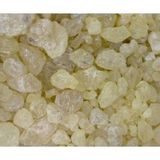 Ayvalık Baharat 20 gr Damla Sakızı