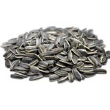 Ayvalık Baharat Dakota Çiğ (Tuzsuz) Çekirdek 500 gr