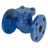 Ayvaz Çekvalf Flanşlı Pn 16 Dn 125 Clv-50