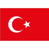 Ayyıldız Bayrakçılık 70X105 Türk Bayrağı Parlak Kumaş (Ayyıldız Bayrak) - Kırmızı - Beyaz