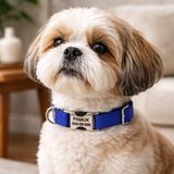Ayz Markalama Metal Kilitli Küçük Irk Köpekler Için Tasma, Isimli Köpek Tasması, Kişiye Özel Köpek Boyun Tasması - Lacivert