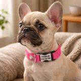 Ayz Markalama Metal Kilitli Küçük Irk Köpekler Için Tasma, Isimli Köpek Tasması, Kişiye Özel Köpek Boyun Tasması - XS - Pembe