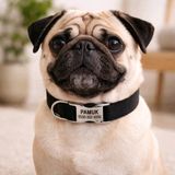 Ayz Markalama Metal Kilitli Küçük Irk Köpekler Için Tasma, Isimli Köpek Tasması, Kişiye Özel Köpek Boyun Tasması - XS - Siyah