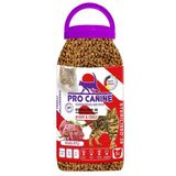 Az Tahıllı Hypoallergenic Kuzu Etli Kısır Obez Sterilised Yetişkin Kedi Maması 5 Lt