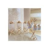 Azade Home Gold Pirinç Japongül Mini Kristal 3’Lü Kavanoz Ve Zikzak 6’Lı Porselen Baharatlık 2’Li Set