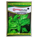 Azaklioglu Home And Garden Goldgen Pro Seed Reyhan Yeşil Fesleğen Tohumu