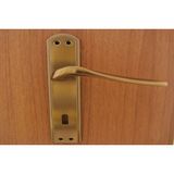 Azm Hırdavat Venüs Antik Aynalı Kapı Kolu Wc Sağ - 24x4.5 Cm - Altın