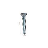 AZRAYAPI 4,2x19 mm Yhb Matkap Uçlu Vida 1 Kutu (2500 Adet)