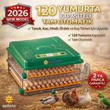 Azrlya EP-120 Yumurta Kapasiteli Tam Otomatik Kuluçka Makinesi - Yeni Nesil Harici Suluklu, Dijital Nem ve Sıcaklık Göstergeli ( Lisinya )