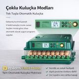 Azrlya FX64 Model Tam Otomatik Kuluçka Makinesi Yeni Nesil Havalandırmalı Sulu Sistem ( Lisinya )