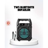 Azrlya Taşınabilir 6.5” Bluetooth Hoparlör USB Tf Kart Mikrofonlu Şarjlı Sistem - Lisinya