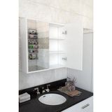 Azzuri Furniture Lavabo Üstü Aynalı 2 Kapaklı Banyo Dolabı AZR-606015 - Beyaz