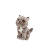 B.t. Chaps Bon Ton Toys Freddy The British Shorthair Kutulu Peluş Oyuncak 17 Cm