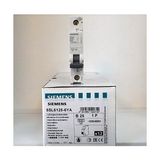 B Tip 25 Amper 6ka Otomatik Sigorta 5SL6125 6ya Yeni Seri B1X25A B25 - standart