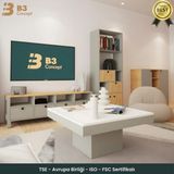 B3 Concept Nort Iı Serisi Modern Dekoratif Kare Salon Orta Sehpa Beyaz & Gri - BEYAZ-GRİ