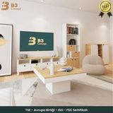 B3 Concept Nort Iı Serisi Modern Dekoratif Kare Salon Orta Sehpa Safir Meşe & Beyaz - RENK - BEYAZ-SAFİRMEŞE