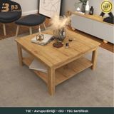 B3 Concept Nort Serisi Modern Dekoratif Raflı Kare Salon Orta Sehpa Safir Meşe - SafirMeşe