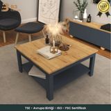 B3CONCEPT Nort Serisi Modern Dekoratif Raflı Kare Salon Orta Sehpa Safir Meşe-Antrasit - Antrasit-SafirMeşe