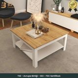 B3CONCEPT Nort Serisi Modern Dekoratif Raflı Kare Salon Orta Sehpa Safir Meşe Beyaz - BEYAZ-SAFİRMEŞE