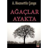Babıali Kitaplığı Ağaçlar Ayakta