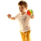Baby Corner Erkek Bebek Arizona 2'li T-Shirt Şort Takım - 9 Ay - Sarı