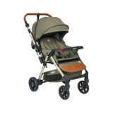 Baby Home 925 X5 Çift Yönlü Bebek Arabası - Yeşil