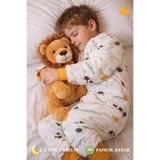 Babyhola 2-9 Yaş 2.5 Tog Premium Kalite Kalın Elyaf Dolgulu Kız Erkek Çocuk Uyku Tulumu Büyük Dino 6020