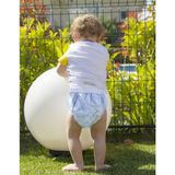 Babyjem Alıştırma Külodu 2'li Paket 3 Yaş Mavi
