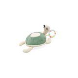 Babyjem Sevimli Yürüme Arkadaşım Çıngıraklı Peluş Kaplumbağa Mint
