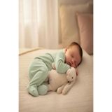 Babyjem Uyku Arkadaşım Bebek ‡ Çocuk Oturabilen Tavşan - Vizon - 30 Cm