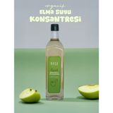 Baca Organik Organik Elma Suyu Konsantresi - 1,32 lt