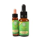 Bach Çiçekleri Chestnud Bud Kestane Tomurcuğu - 10 ml