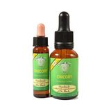 Bach Çiçekleri Chicory Hindiba - 10 ml