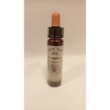 Bach Çiçekleri Gentıan Yılan Otu - 10 ml