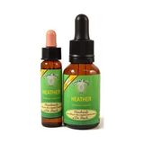 Bach Çiçekleri Heather Süpürge Otu - 10 ml