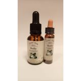 Bach Çiçekleri Holly Çobanpüskülü - 10 ml