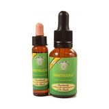 Bach Çiçekleri Honeysuckle Hanımeli - 10 ml