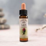 Bach Çiçekleri Larch Karaçam - 10 ml
