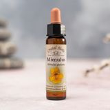 Bach Çiçekleri Mımulus Misk Otu - 10 ml