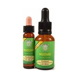 Bach Çiçekleri Mustard Hardal - 10 ml