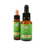 Bach Çiçekleri Oak Meşe - 10 ml