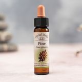 Bach Çiçekleri Pine Çam - 10 ml