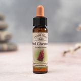Bach Çiçekleri Red Chestnut Kırmızı Kestane - 10 ml