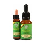 Bach Çiçekleri Scleranthus Çalı - 10 ml